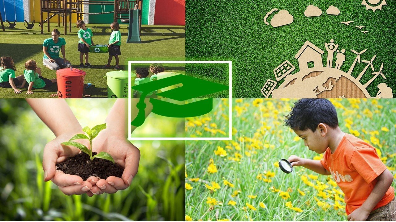 Daily Eco-Friendly Guide