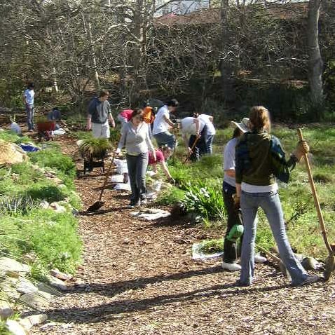 Young international volunteers collaborating on a local sustainability and community leadership project