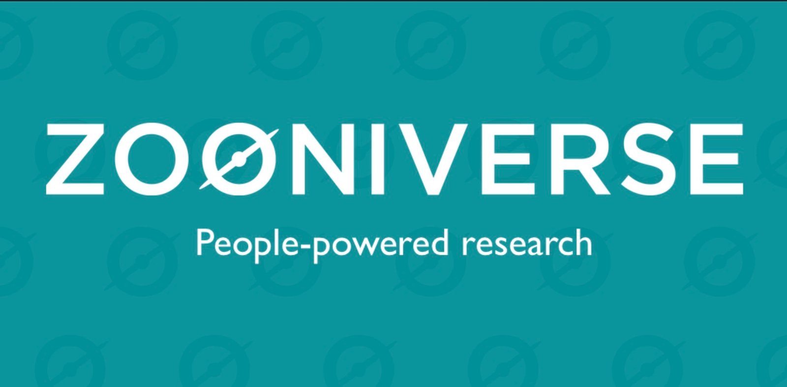Volunteering & Internships